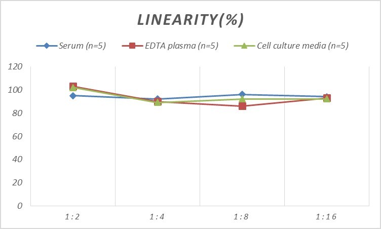 Mouse BID ELISA Kit (Colorimetric)