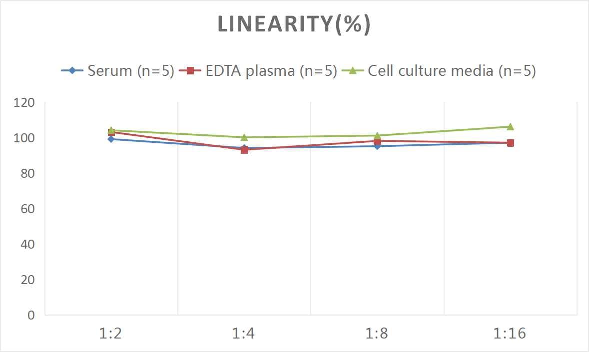 Mouse Bradykinin ELISA Kit (Colorimetric)