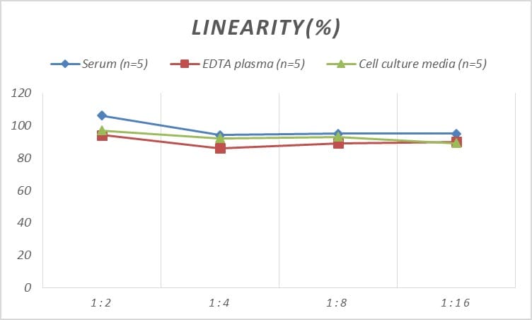 Human Bmf ELISA Kit (Colorimetric)