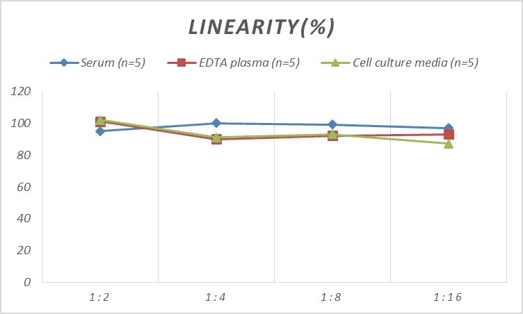 Rat BMP-5 ELISA Kit (Colorimetric)