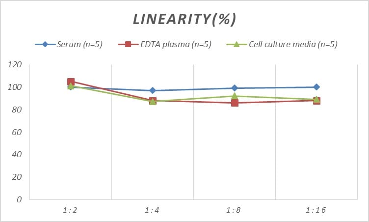 Rat CXCL14/BRAK ELISA Kit (Colorimetric)