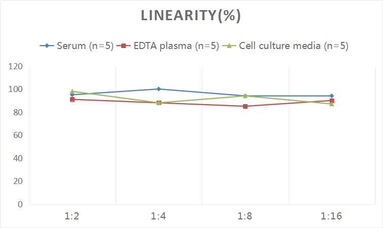 Human IBSP/Sialoprotein II ELISA Kit (Colorimetric)