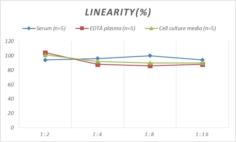 Rat CEBP Delta ELISA Kit (Colorimetric)