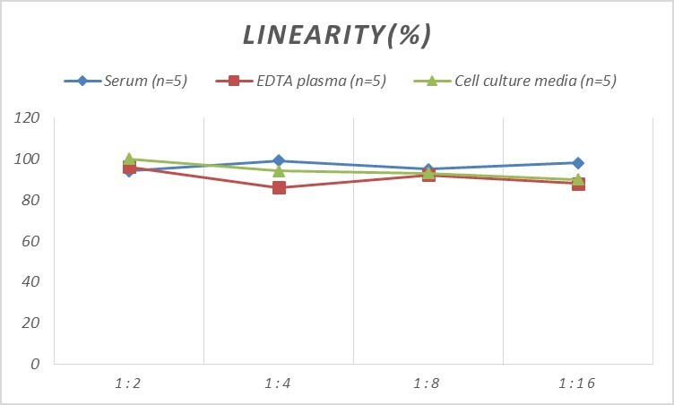 Human CEBP epsilon ELISA Kit (Colorimetric)