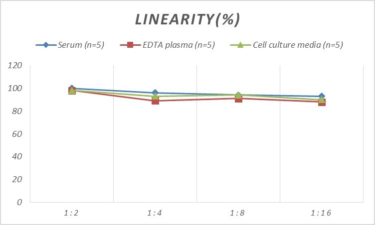 Rat Serpin G1/C1 Inhibitor ELISA Kit (Colorimetric)