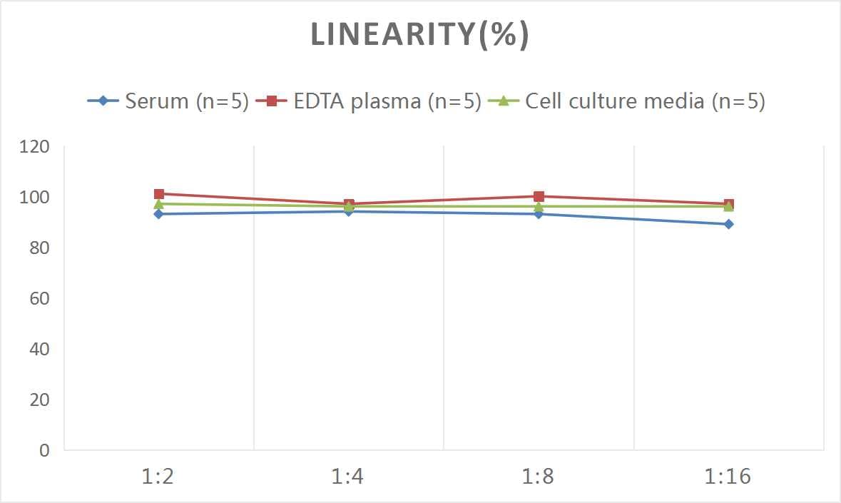 Monkey Complement C3 ELISA Kit (Colorimetric)