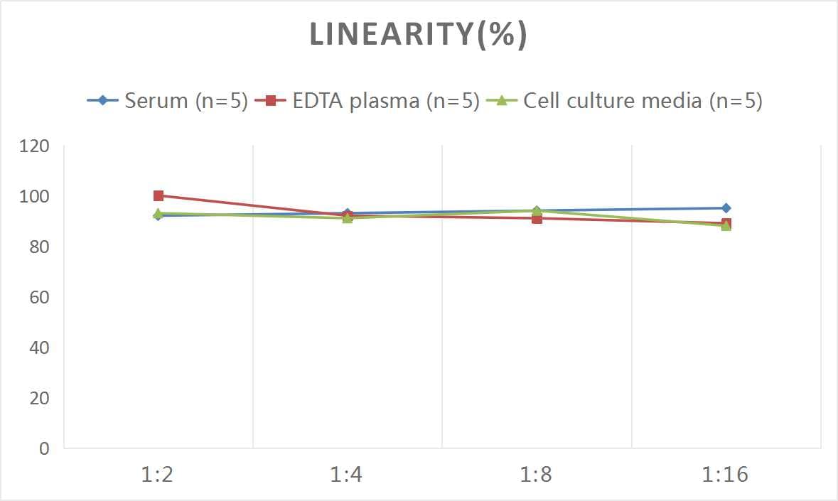 Rat Complement C3a ELISA Kit (Colorimetric)