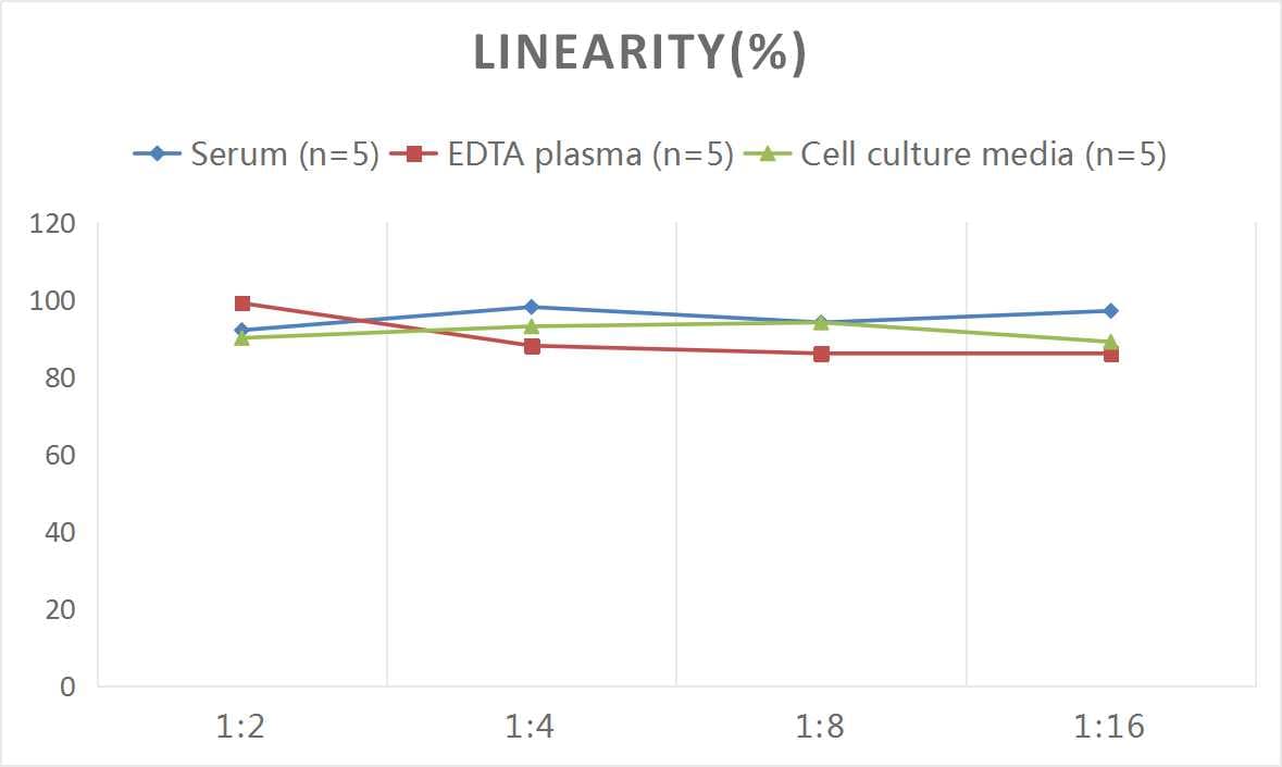 Rat Complement C4 ELISA Kit (Colorimetric)