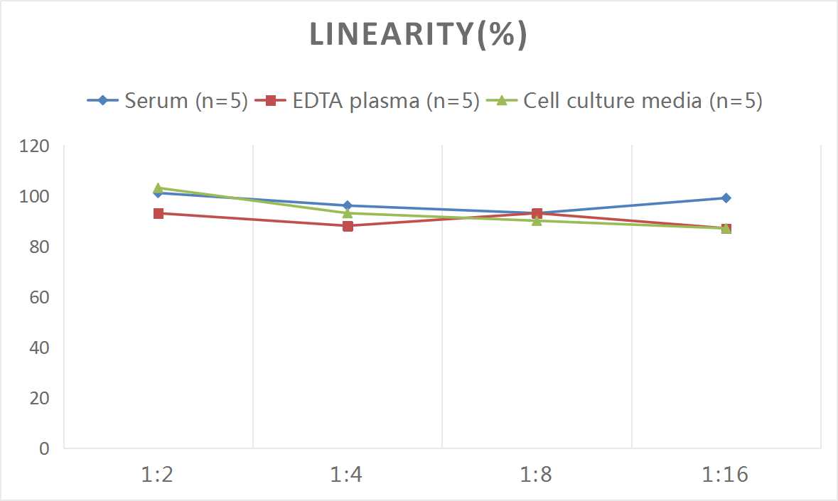 Mouse Complement C5 ELISA Kit (Colorimetric)
