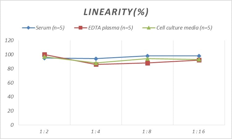 Rat Carbonic Anhydrase I/CA1 ELISA Kit (Colorimetric)