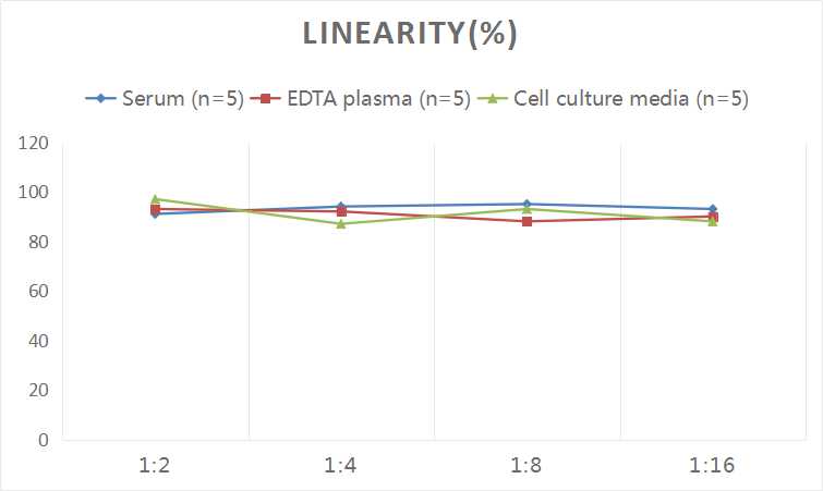 Human Carbonic Anhydrase VI ELISA Kit (Colorimetric)