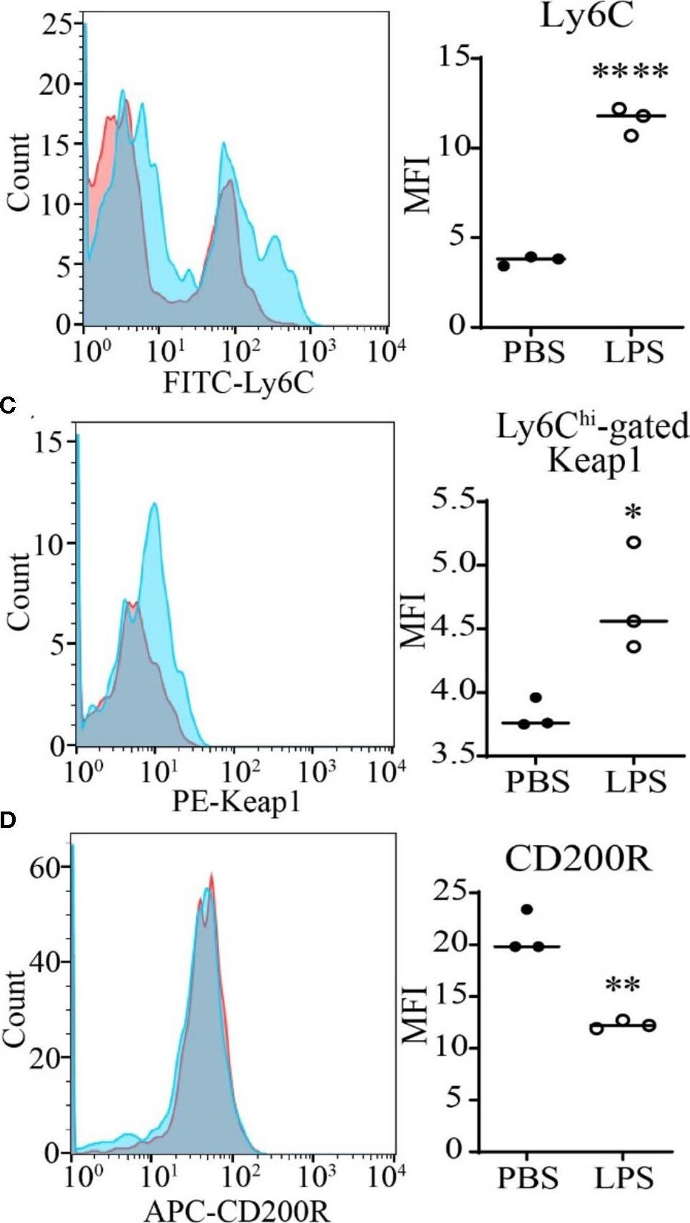 Keap1 Antibody (OTI1B4) [PE]