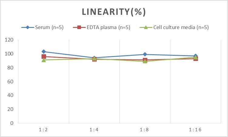 Human CAIN ELISA Kit (Colorimetric)