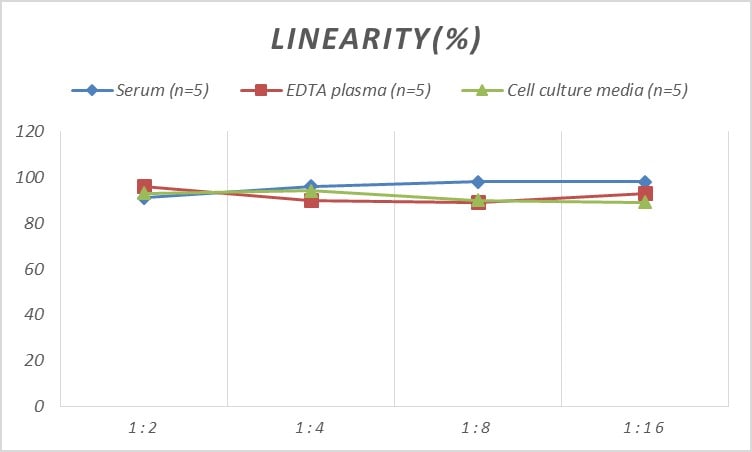 Rat CAIN ELISA Kit (Colorimetric)