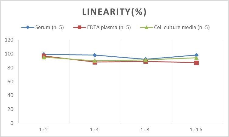 Human CACYBP ELISA Kit (Colorimetric)