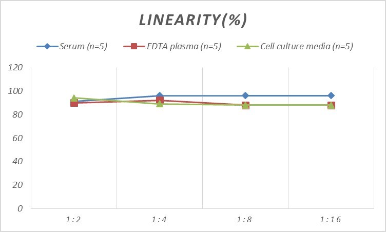 Mouse CACYBP ELISA Kit (Colorimetric)