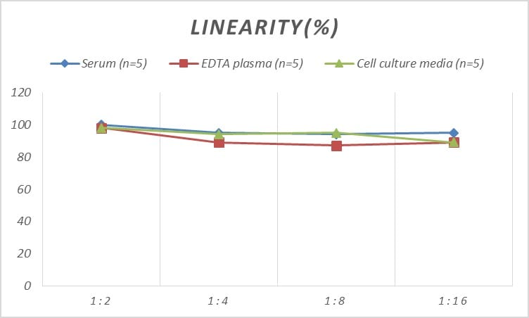 Mouse DFF40/CAD ELISA Kit (Colorimetric)