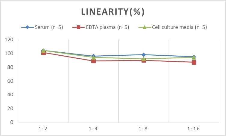 Rat CD38 ELISA Kit (Colorimetric)