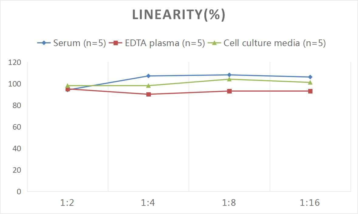 Rat Calmodulin ELISA Kit (Colorimetric)