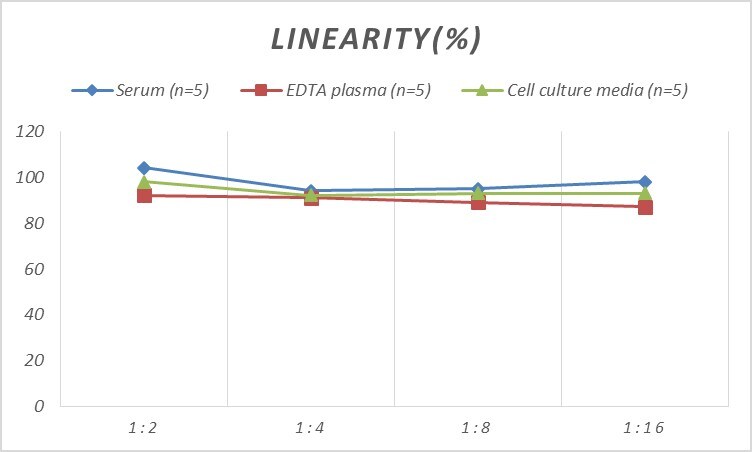 Human CaMKIIN2 ELISA Kit (Colorimetric)