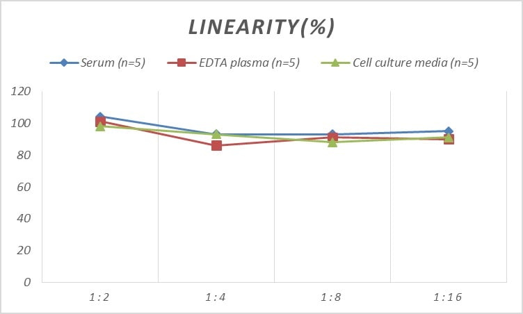 Human Calpain 1 ELISA Kit (Colorimetric)