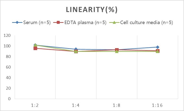 Rat C1q ELISA Kit (Colorimetric)