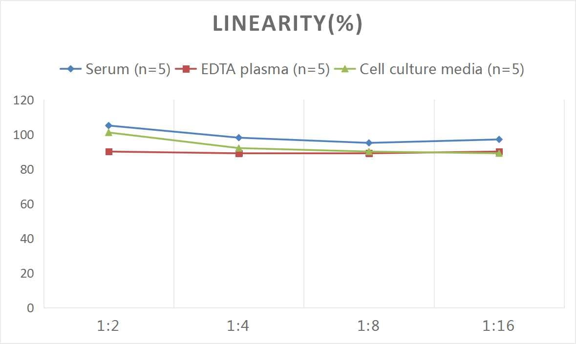 Rat CTGF/CCN2 ELISA Kit (Colorimetric)