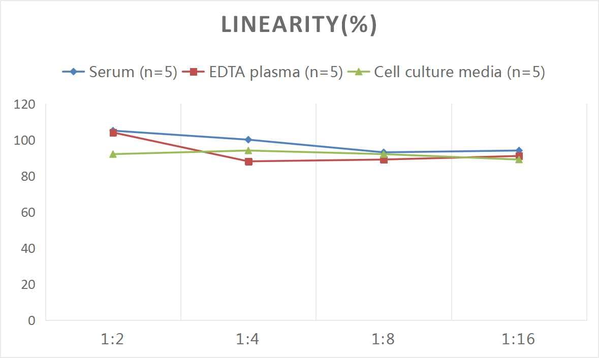 Mouse Caspase-1 ELISA Kit (Colorimetric)