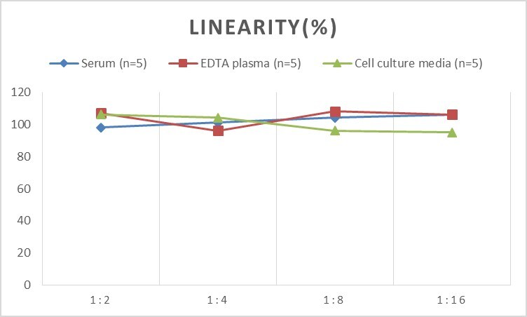 Mouse Caspase-11 ELISA Kit (Chemiluminescence)