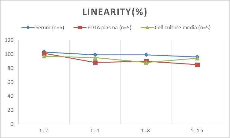 Mouse Caspase-4 ELISA Kit (Colorimetric)