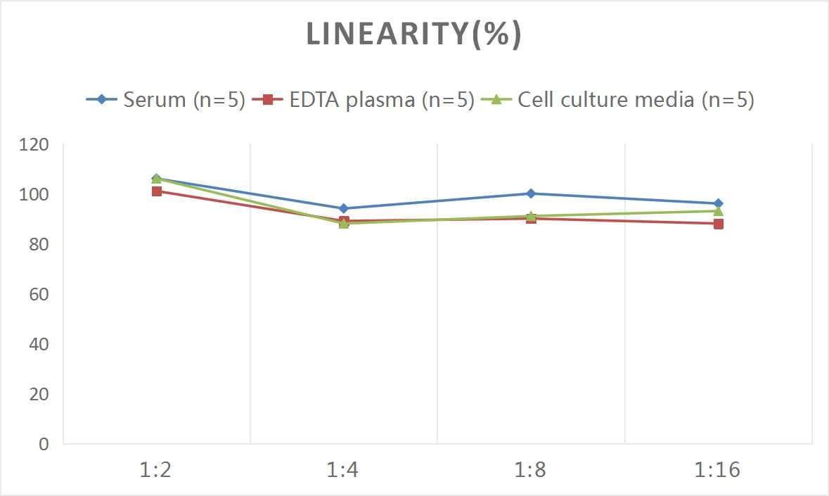 Mouse Caspase-8 ELISA Kit (Colorimetric)