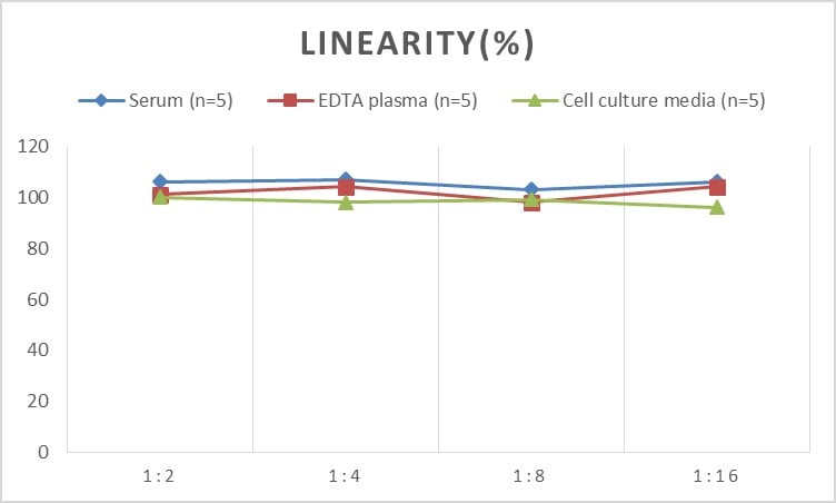 Monkey Caveolin-1 ELISA Kit (Colorimetric)