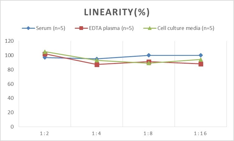 Rat Caveolin-1 ELISA Kit (Colorimetric)