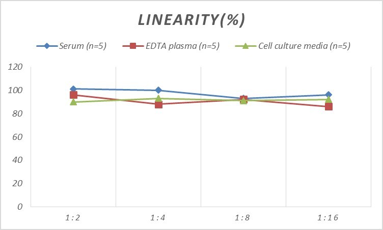Mouse CBX3 ELISA Kit (Colorimetric)