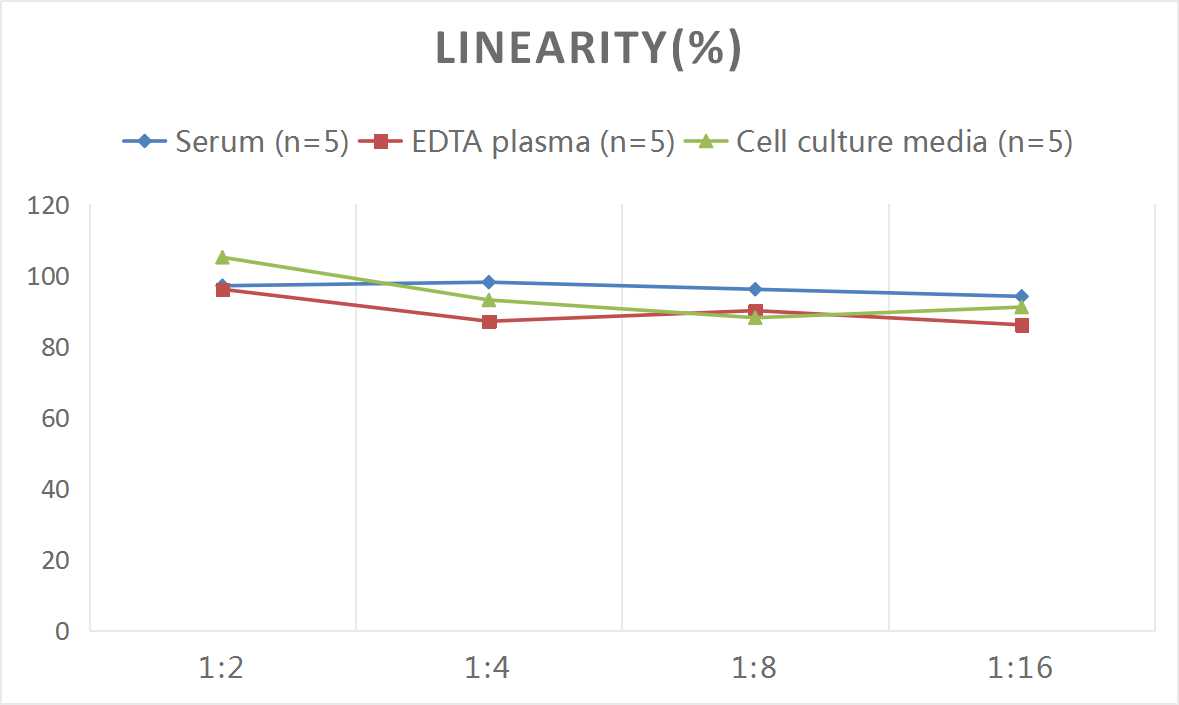 Rat CCK-AR ELISA Kit (Colorimetric)