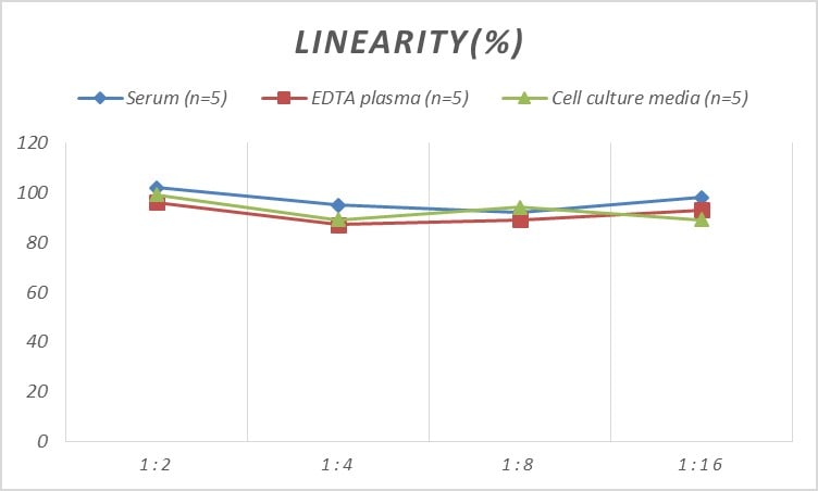 Human Cholecystokinin-B R/CCKBR ELISA Kit (Colorimetric)