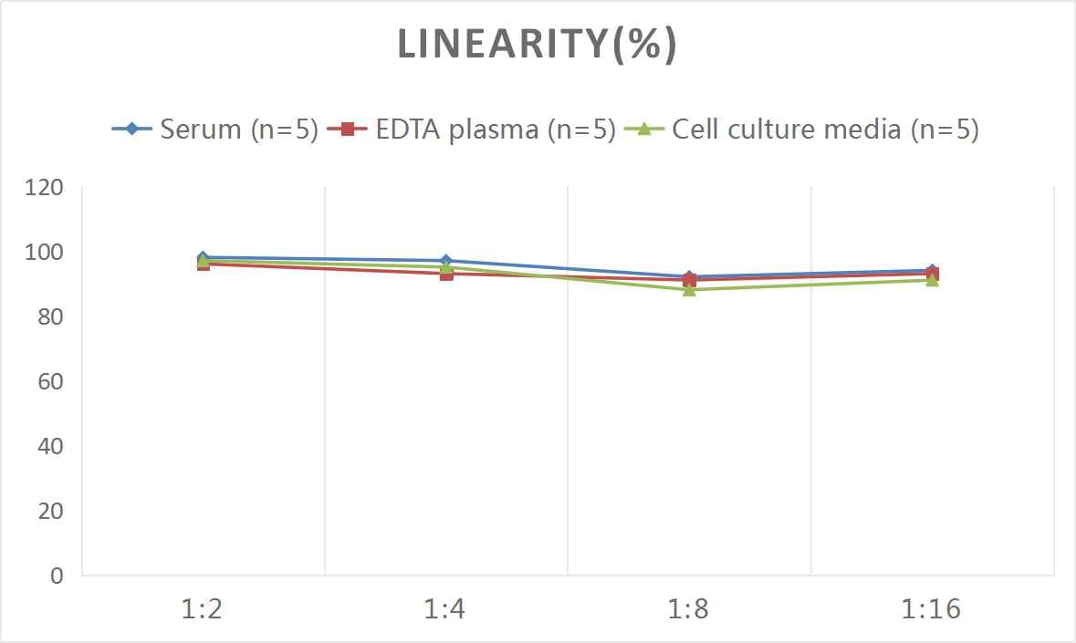 Human Cyclin D1 ELISA Kit (Colorimetric)
