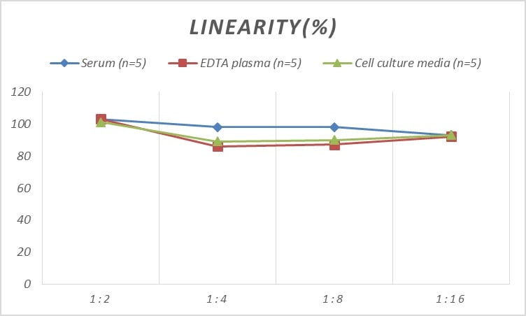Mouse Cyclin D1 ELISA Kit (Colorimetric)