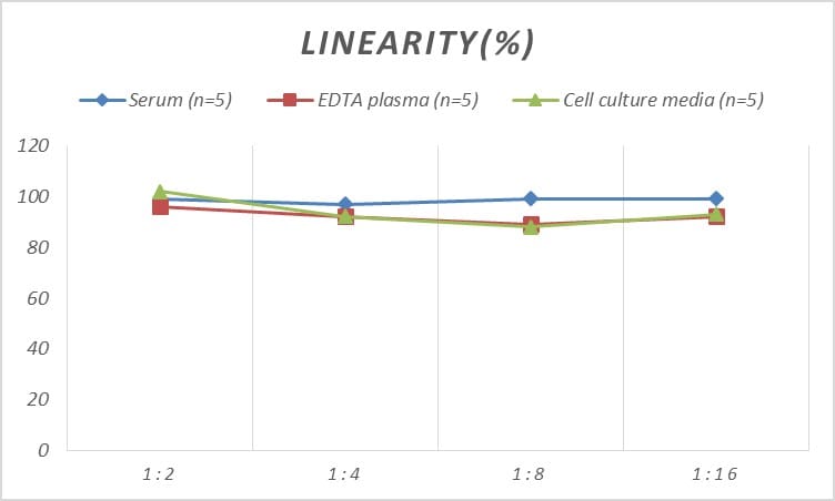 Rat Cyclin D1 ELISA Kit (Colorimetric)
