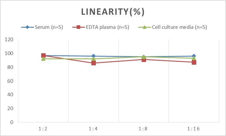 Rat Cyclin D3 ELISA Kit (Colorimetric)