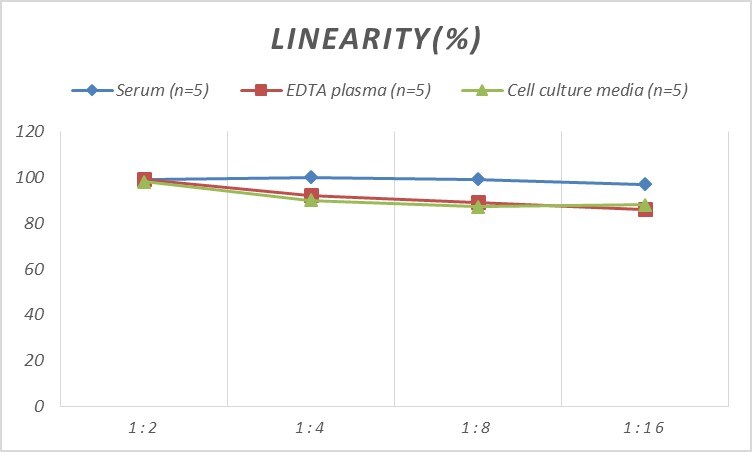Mouse Cyclin E1 ELISA Kit (Colorimetric)