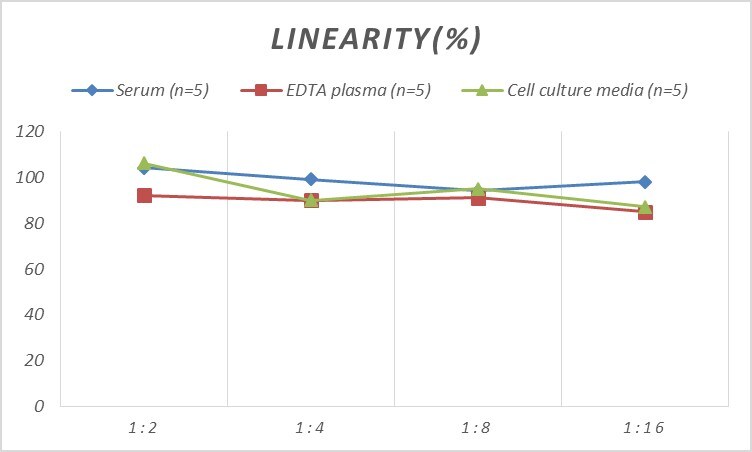 Human CCR1 ELISA Kit (Colorimetric)