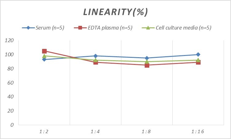 Rat CCR11 ELISA Kit (Colorimetric)