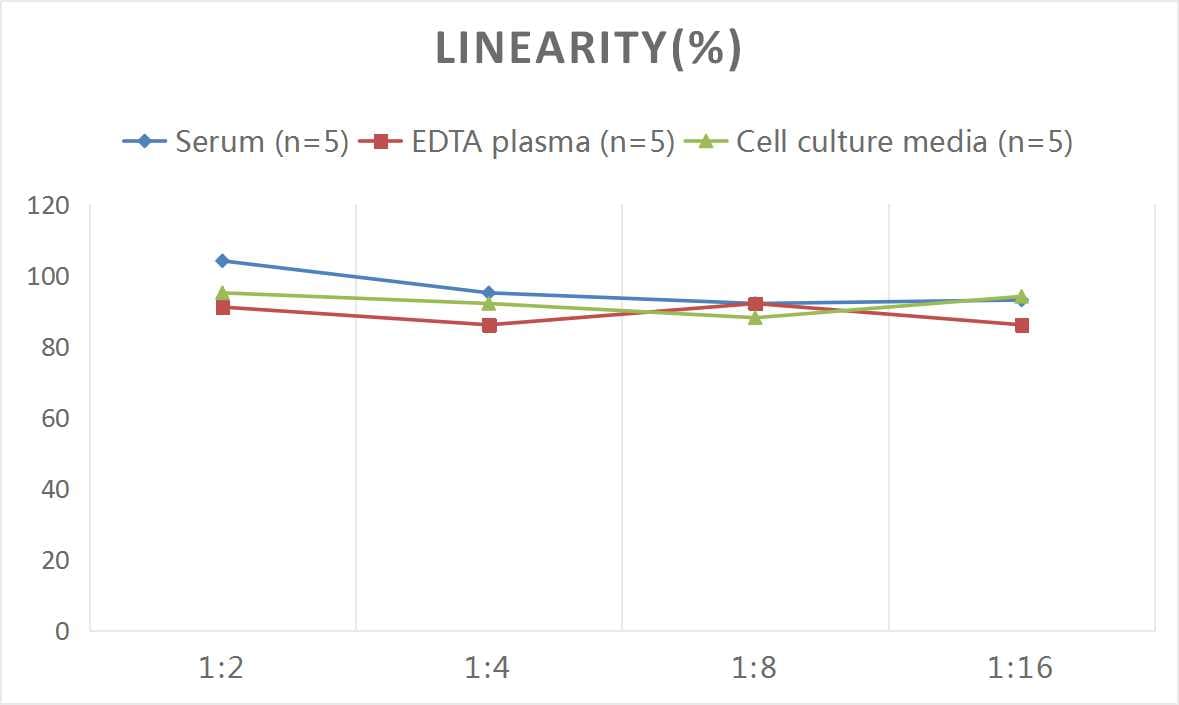 Human CD19 ELISA Kit (Colorimetric)