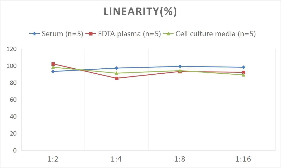 Rat CD3 ELISA Kit (Colorimetric)
