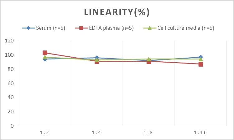 Rat CD6 ELISA Kit (Colorimetric)