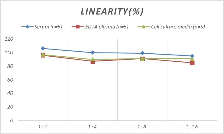 Rat CD97 ELISA Kit (Colorimetric)