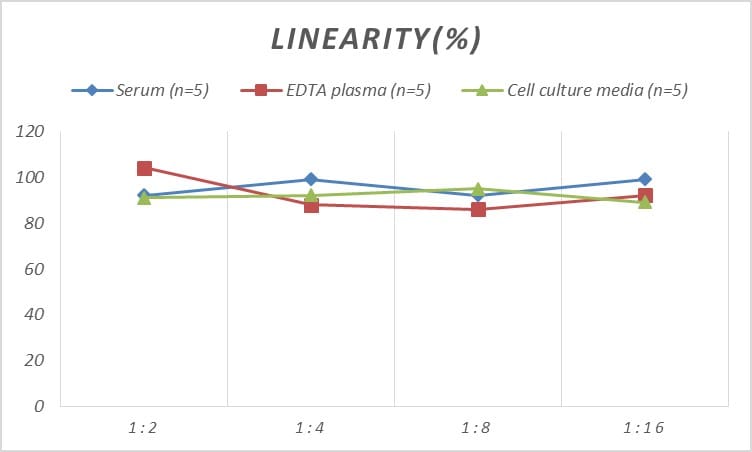 Human Cdc23 ELISA Kit (Colorimetric)