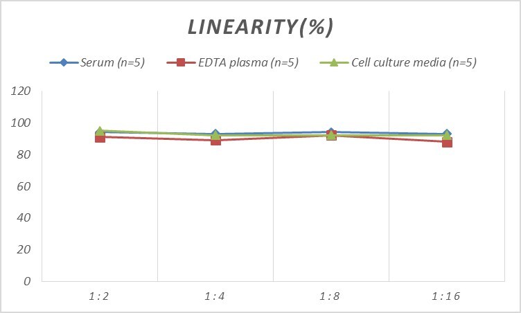 Human CDK2 ELISA Kit (Colorimetric)
