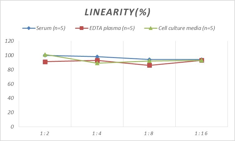 Mouse CDK4 ELISA Kit (Colorimetric)